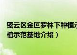 密云区金叵罗林下种植示范基地（关于密云区金叵罗林下种植示范基地介绍）