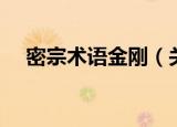 密宗术语金刚（关于密宗术语金刚介绍）