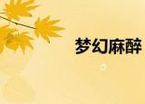梦幻麻醉（梦幻麻将馆8）