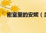 密室里的安妮（关于密室里的安妮介绍）