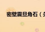 密壁震旦角石（关于密壁震旦角石介绍）