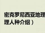 密克罗尼西亚地理人种（关于密克罗尼西亚地理人种介绍）