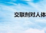 交联剂对人体的危害（交联剂eh）