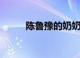 陈鲁豫的奶奶简历（陈鲁豫博客）