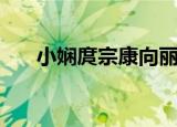 小娴庹宗康向丽雯同台（小娴庹宗康）