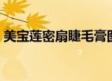 美宝莲密扇睫毛膏图片（美宝莲密扇睫毛膏）