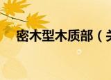 密木型木质部（关于密木型木质部介绍）