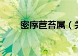 密序苣苔属（关于密序苣苔属介绍）
