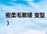 密柔毛繁缕 变型（关于密柔毛繁缕 变型介绍）