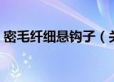 密毛纤细悬钩子（关于密毛纤细悬钩子介绍）