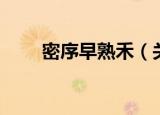 密序早熟禾（关于密序早熟禾介绍）