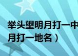 举头望明月打一中药名的正确答案（举头望明月打一地名）