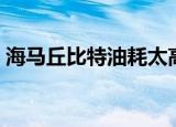 海马丘比特油耗太高了（海马丘比特怎么样）