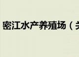 密江水产养殖场（关于密江水产养殖场介绍）