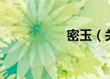 密玉（关于密玉介绍）