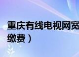 重庆有线电视网宽带套餐（重庆有线电视网上缴费）