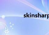 skinsharp（skins第四季）
