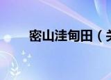 密山洼甸田（关于密山洼甸田介绍）