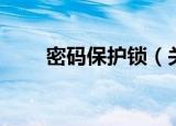 密码保护锁（关于密码保护锁介绍）