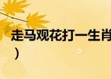 走马观花打一生肖什么（走马观花打一个生肖）