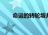 命运的转轮坂井泉水（命运的转轮）