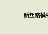 新丝路模特（新丝路模特）