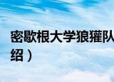 密歇根大学狼獾队（关于密歇根大学狼獾队介绍）