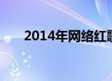 2014年网络红歌（2014年网络春晚）