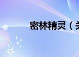 密林精灵（关于密林精灵介绍）