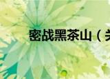 密战黑茶山（关于密战黑茶山介绍）