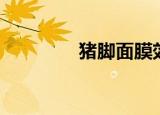 猪脚面膜效果（猪脚面膜）