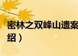 密林之双峰山遗案（关于密林之双峰山遗案介绍）