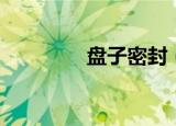 盘子密封（盘子密码管理）