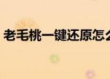 老毛桃一键还原怎么勾选（老毛桃一键还原）