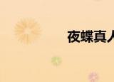 夜蝶真人大秀（夜 蝶）