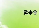 欲来兮（欲来欲爱你）