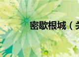 密歇根城（关于密歇根城介绍）