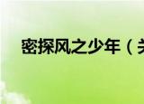密探风之少年（关于密探风之少年介绍）