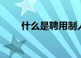 什么是聘用制人员（什么是聘用制）