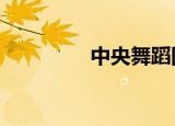 中央舞蹈团（中央舞台2）