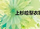 上杉绘梨衣实力（上杉绘梨衣）