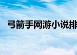 弓箭手网游小说排行榜（弓箭手网络游戏）