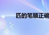 匹的笔顺正确的写法（匹的笔顺）