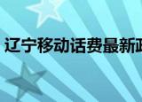 辽宁移动话费最新政策（辽宁移动话费查询）