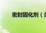 密封固化剂（关于密封固化剂介绍）