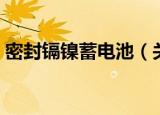 密封镉镍蓄电池（关于密封镉镍蓄电池介绍）