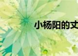 小杨阳的丈夫是谁（小杨阳）