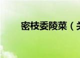 密枝委陵菜（关于密枝委陵菜介绍）