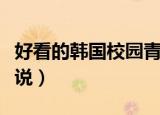 好看的韩国校园青春电影（好看的韩国校园小说）