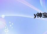 y神宝可梦（y神）
